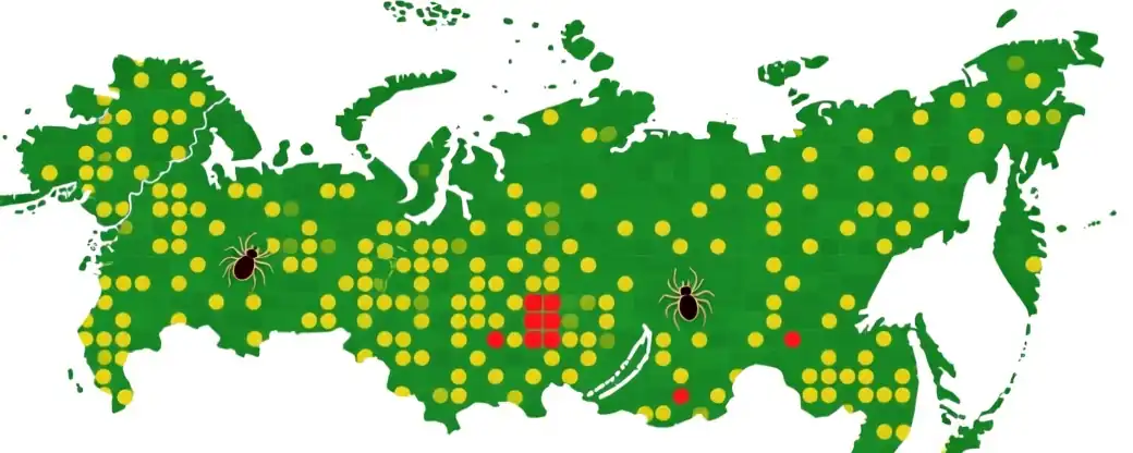 Стабилизация угрозы: Эксперт Роспотребнадзора о клещевых инфекциях