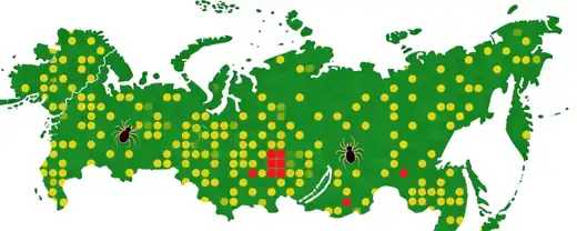 Стабилизация угрозы: Эксперт Роспотребнадзора о клещевых инфекциях
