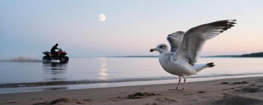 На берегу Финского залива спасены еще один малыш-тюлень